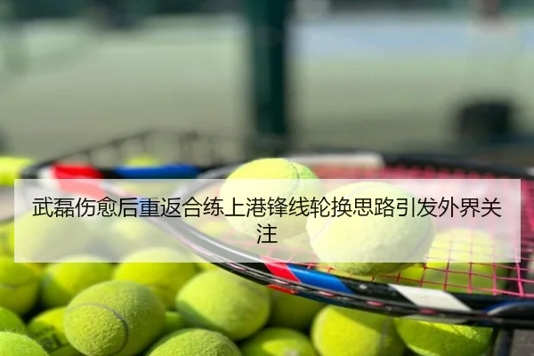 武磊伤愈后重返合练上港锋线轮换思路引发外界关注